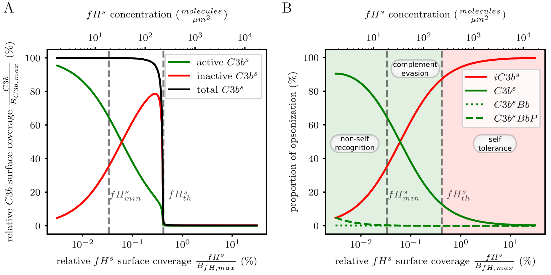 projects-modelling-factor-h-mediated-figure1.png