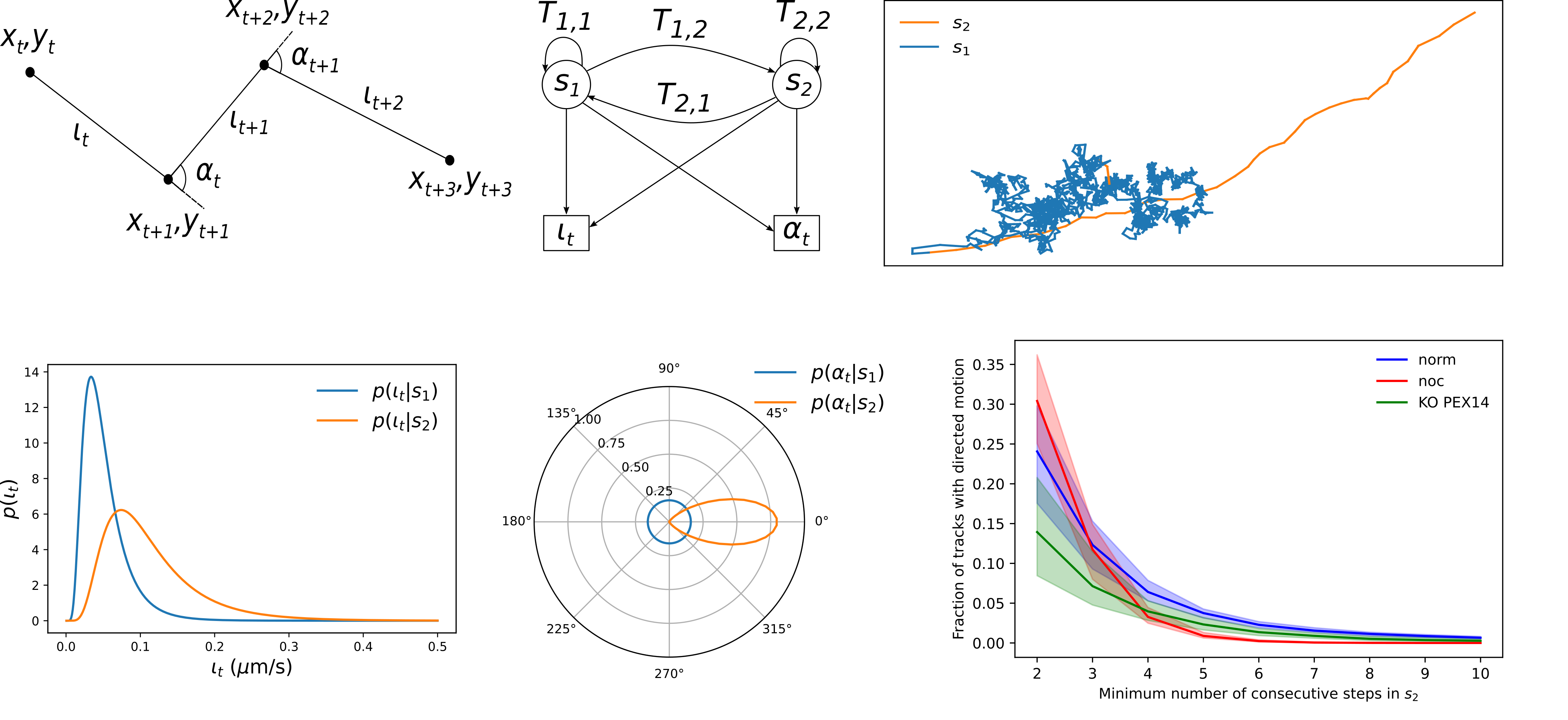 projects-peroxisome-motility-analysis-figure1.png