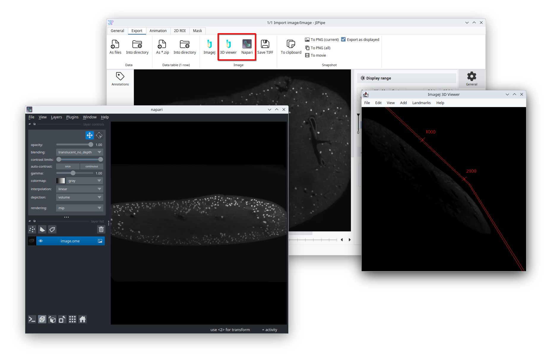 new-image-viewer-3d.png