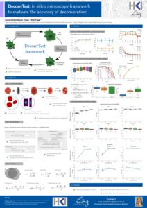 DeconvTest: an in silico microscopy framework to evaluate the accuracy of deconvolution
