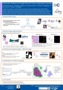 Automated Analysis of Fungal-Infected Tissue using Deep Learning