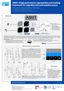 AMIT: A high performance segmentation and tracking framework for migration and confrontation assays