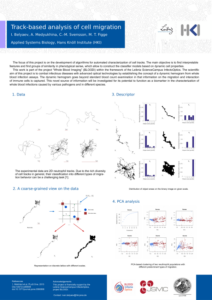 Track-based analysis of cell migration