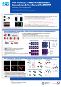 From raw images to abstract surface models: deconvolution, DeConvTest and DynSPHARM